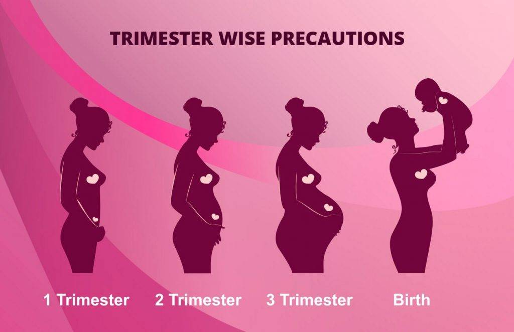 what are some necessary Pregnancy Precautions
