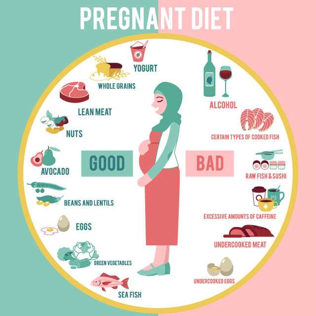 Best diet plan for pregnant Women