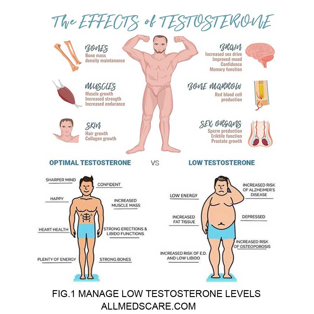 Manage low testosterone levels Allmedscare