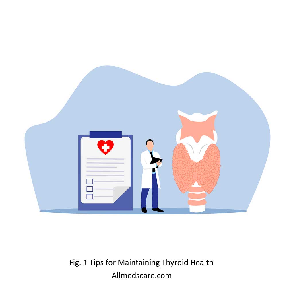 Tips for Maintaining Thyroid Health Allmedscare.com