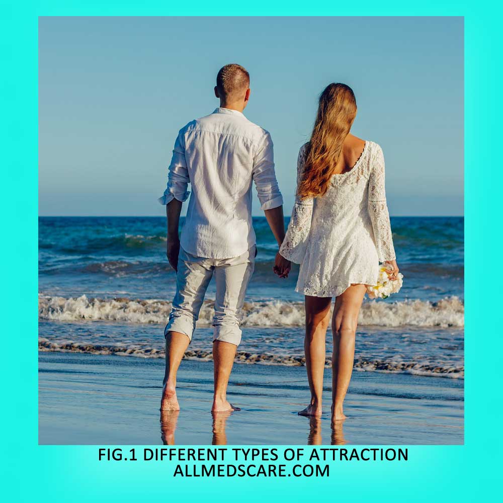 Different Types of Attraction