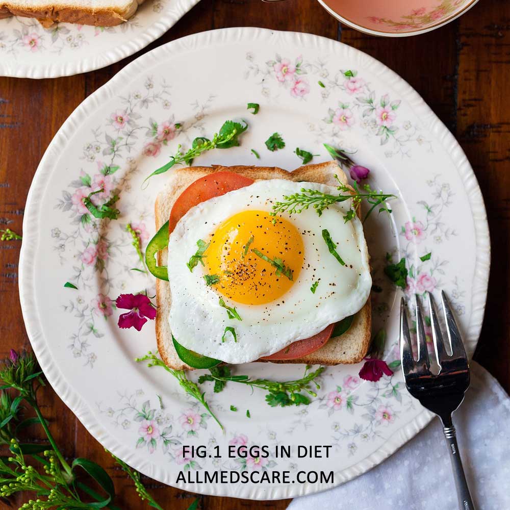 Eggs in Diet