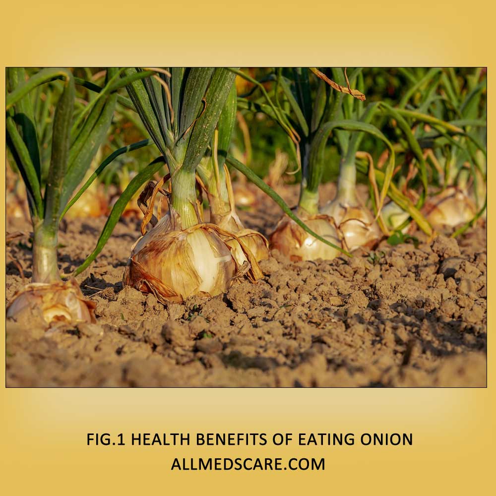 Health benefits of eating Onion