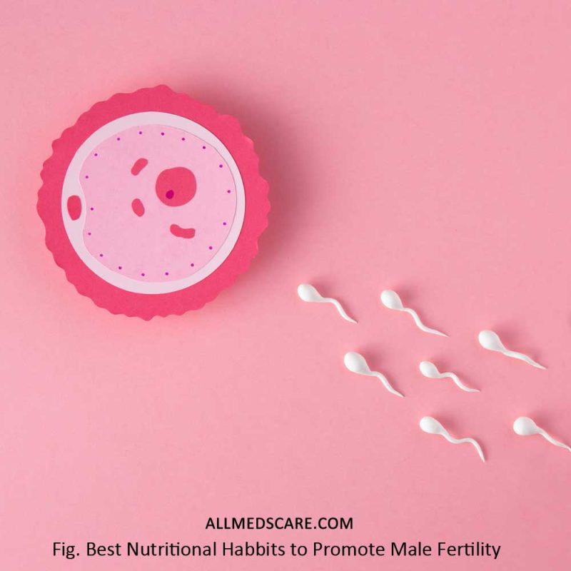 Male Fertility