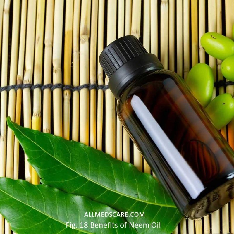 18 Benefits of Neem Oil