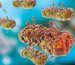 McDonald’s E. coli Outbreak