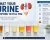 Meaning of Urine Color